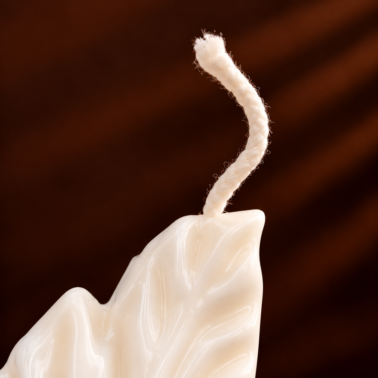 Vela Leaf: imagen 2